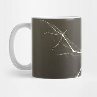 Bat X-RAY Mug